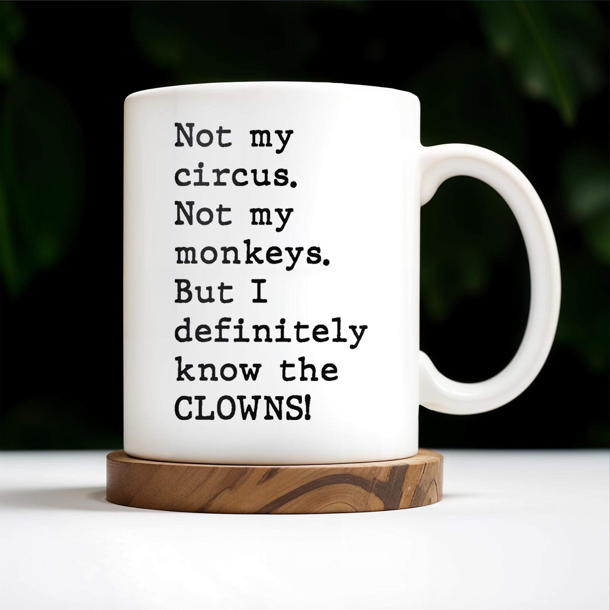 Not My Circus, Not My Monkeys, Know The Clowns Mug
