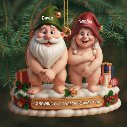 Growing Old Together Christmas Gnomes