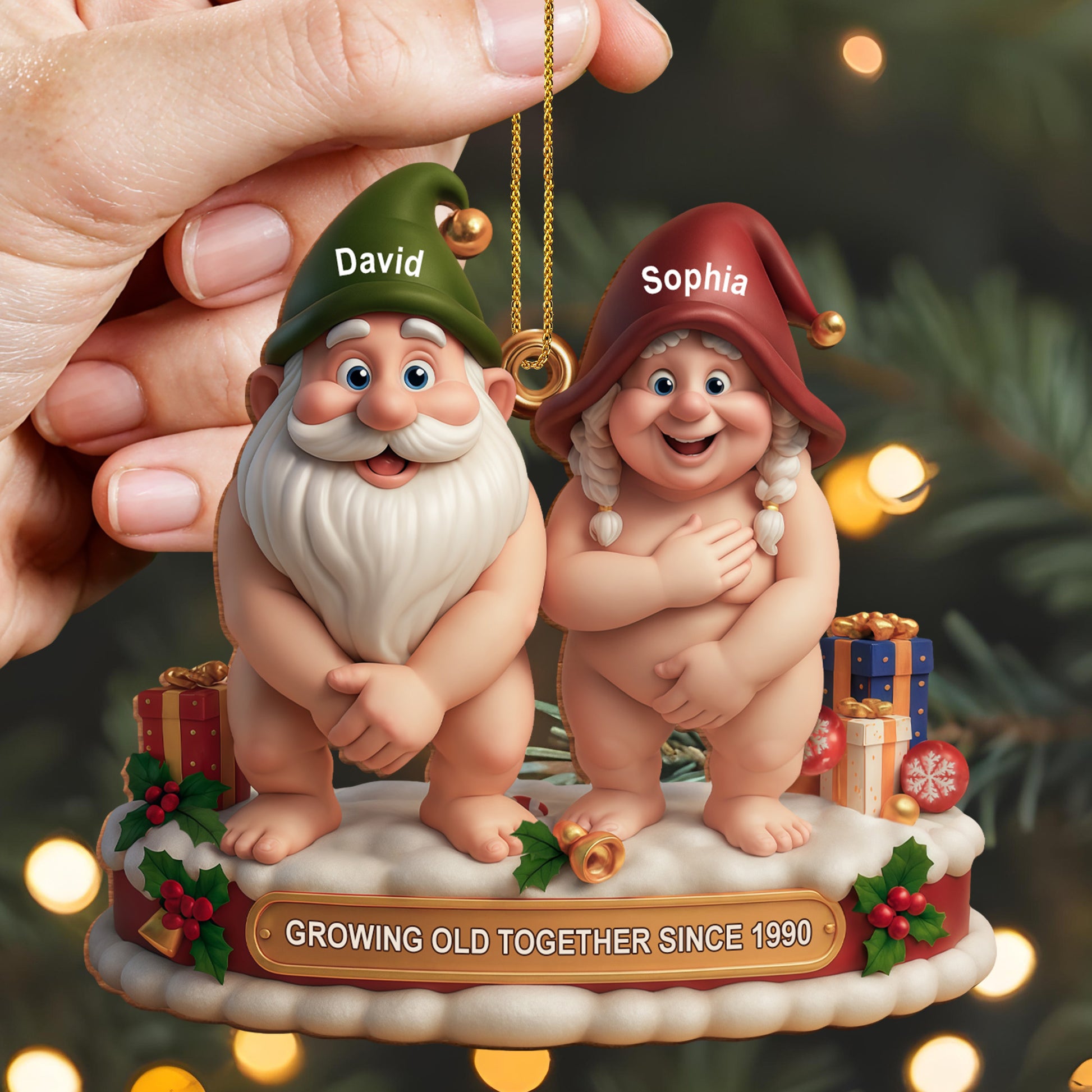 Growing Old Together Christmas Gnomes