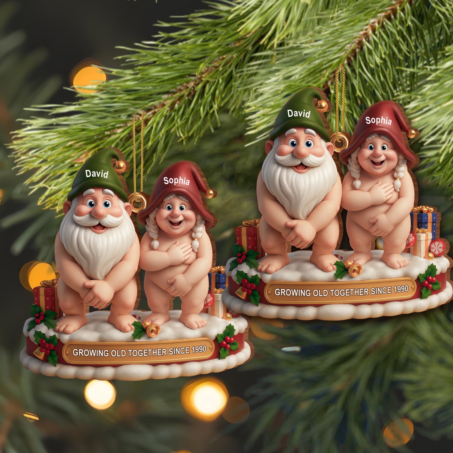 Growing Old Together Christmas Gnomes