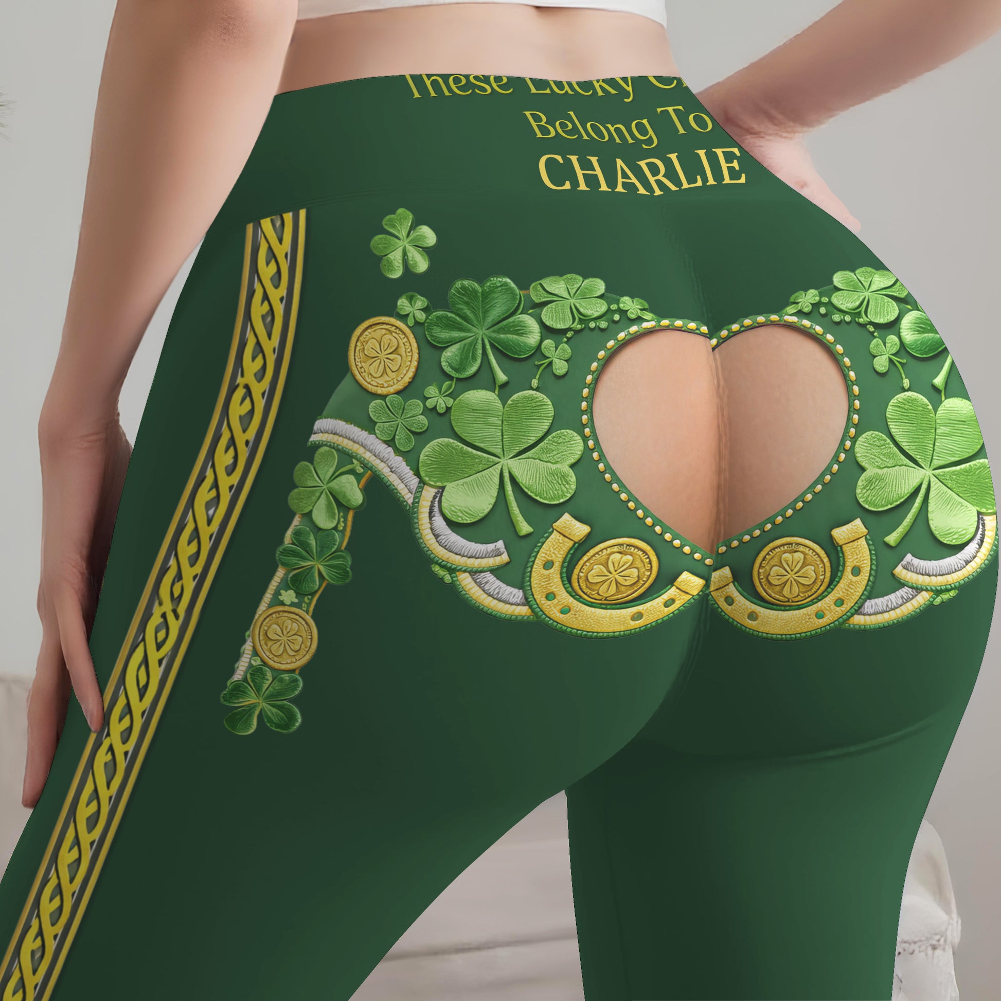These Lucky Charms Belong To Shamrocks Gold Coins Horse Shoes