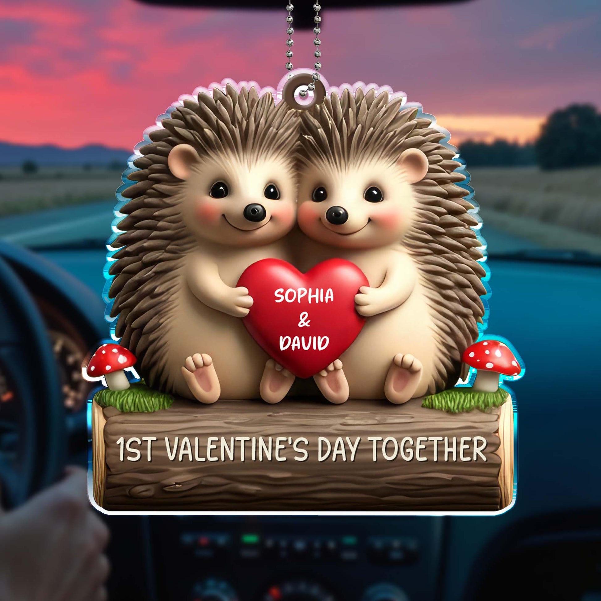 First Valentine's Day Together With Cute Hedgehogs