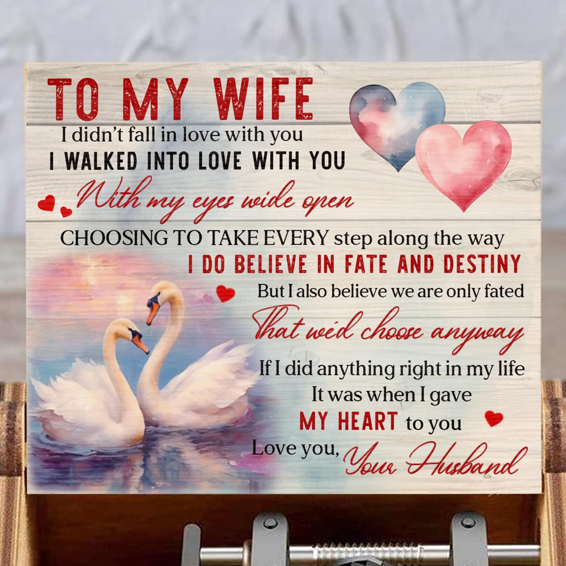 I Walked Into Love With Swans And Heart Design