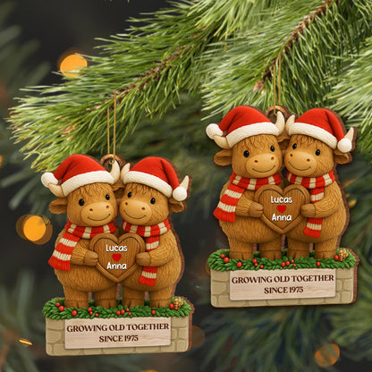 Growing Old Together, Oxen With Christmas Hats