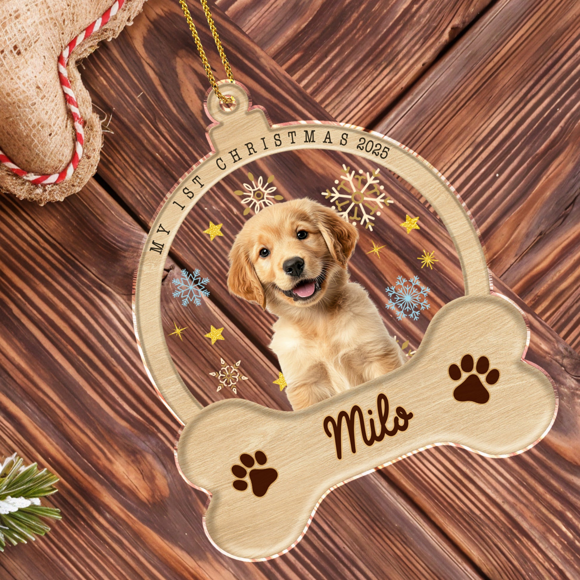 My 1st Christmas Paw Prints and Snowflakes