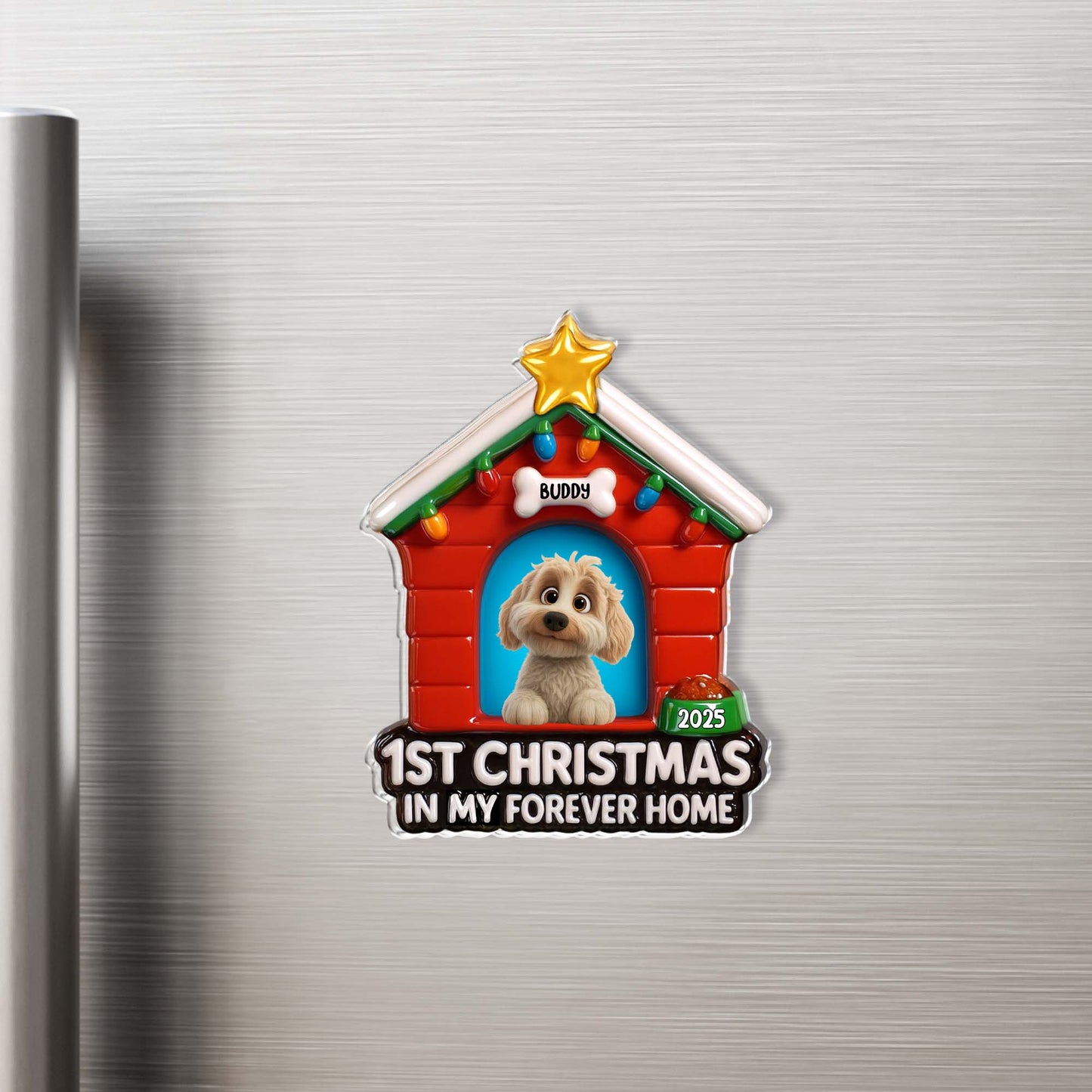 1st Christmas In My Forever Home, Dog House With Lights