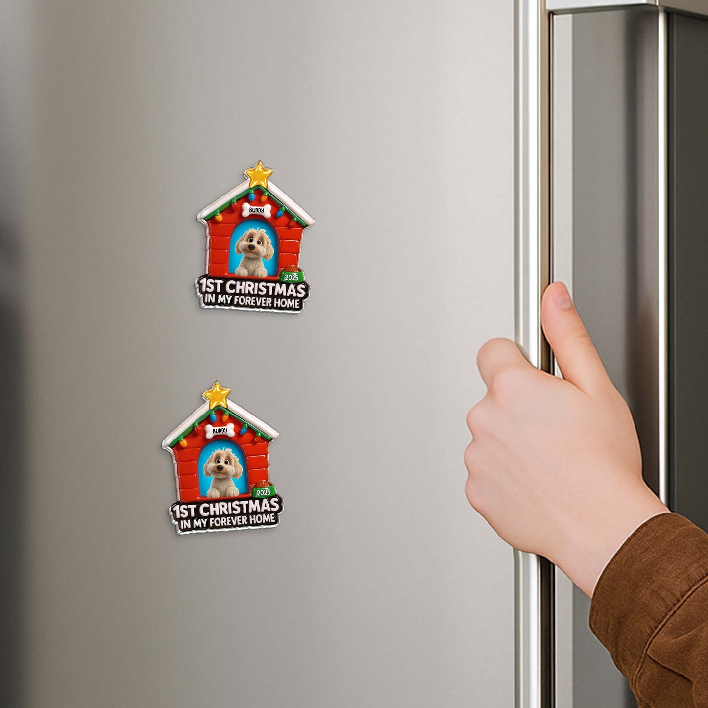 1st Christmas In My Forever Home, Dog House With Lights