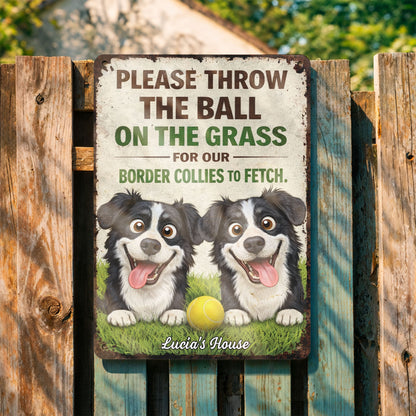 Please Throw The Ball On The Grass Border Collies Dogs