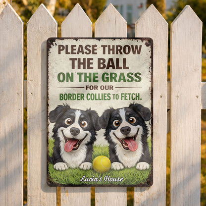 Please Throw The Ball On The Grass Border Collies Dogs