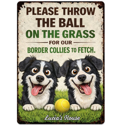 Please Throw The Ball On The Grass Border Collies Dogs