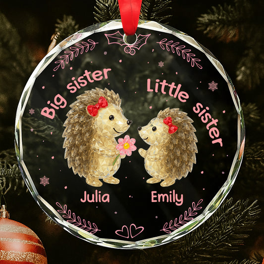 Big Sister Little Sister With Adorable Hedgehogs