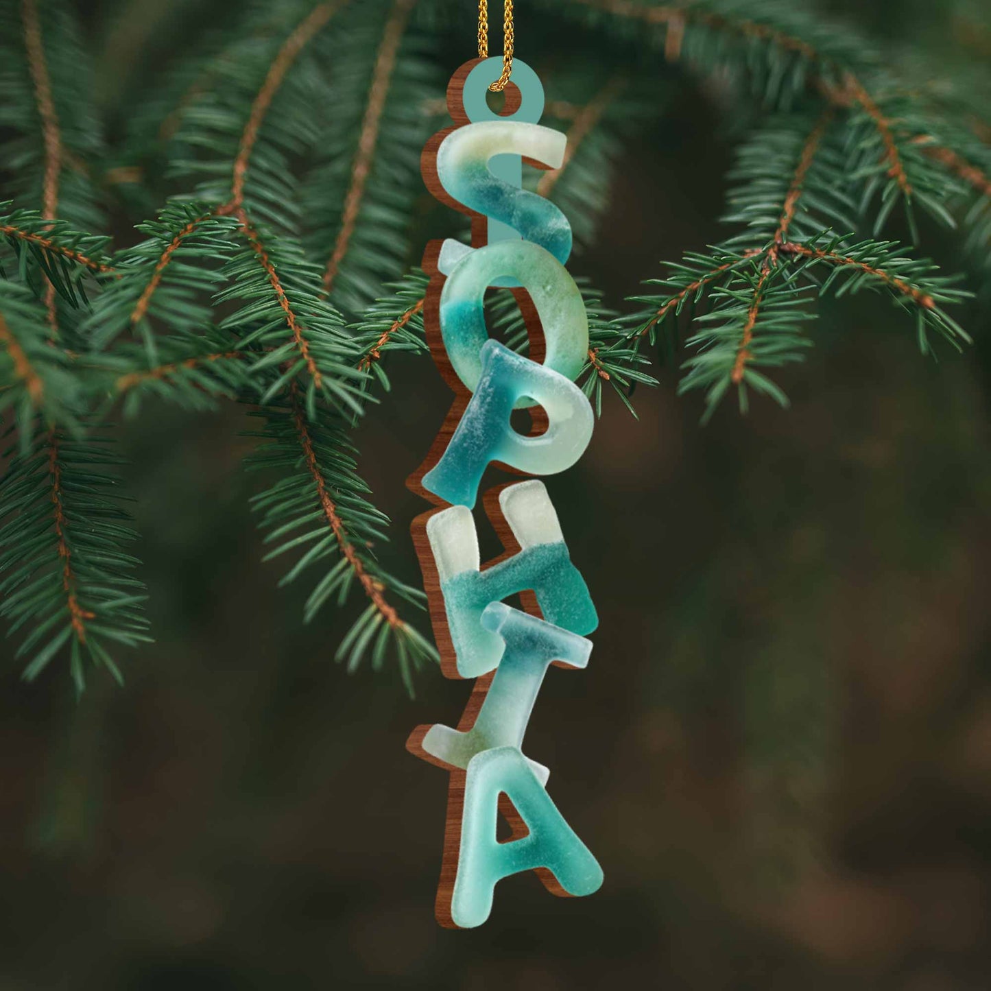 Capture the Festive Spirit Custom Name Ornament - Personalized Custom Wood Ornament, Custom Shaped - FAM725_WDO