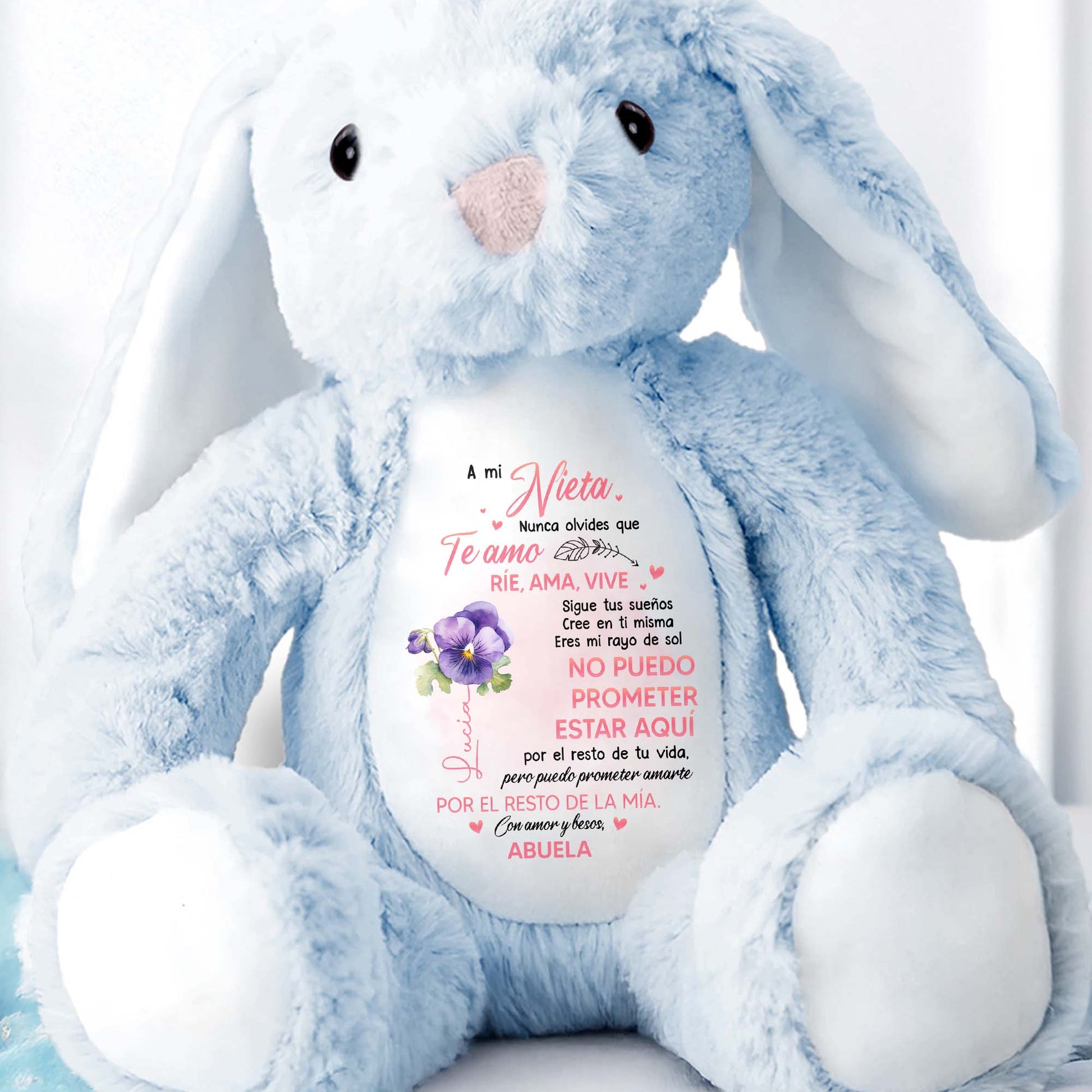 A mi Nieta, Nunca Olvides Que Te Amo, Bunny and Flowers