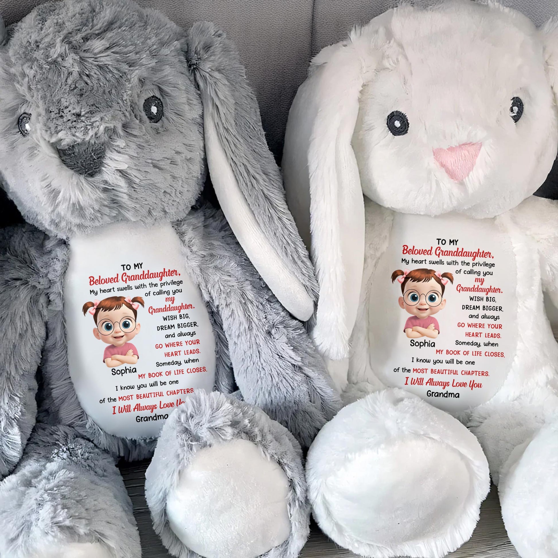 To My Beloved Granddaughter, Wish Big, Dream Bigger, Stuffed Bunny