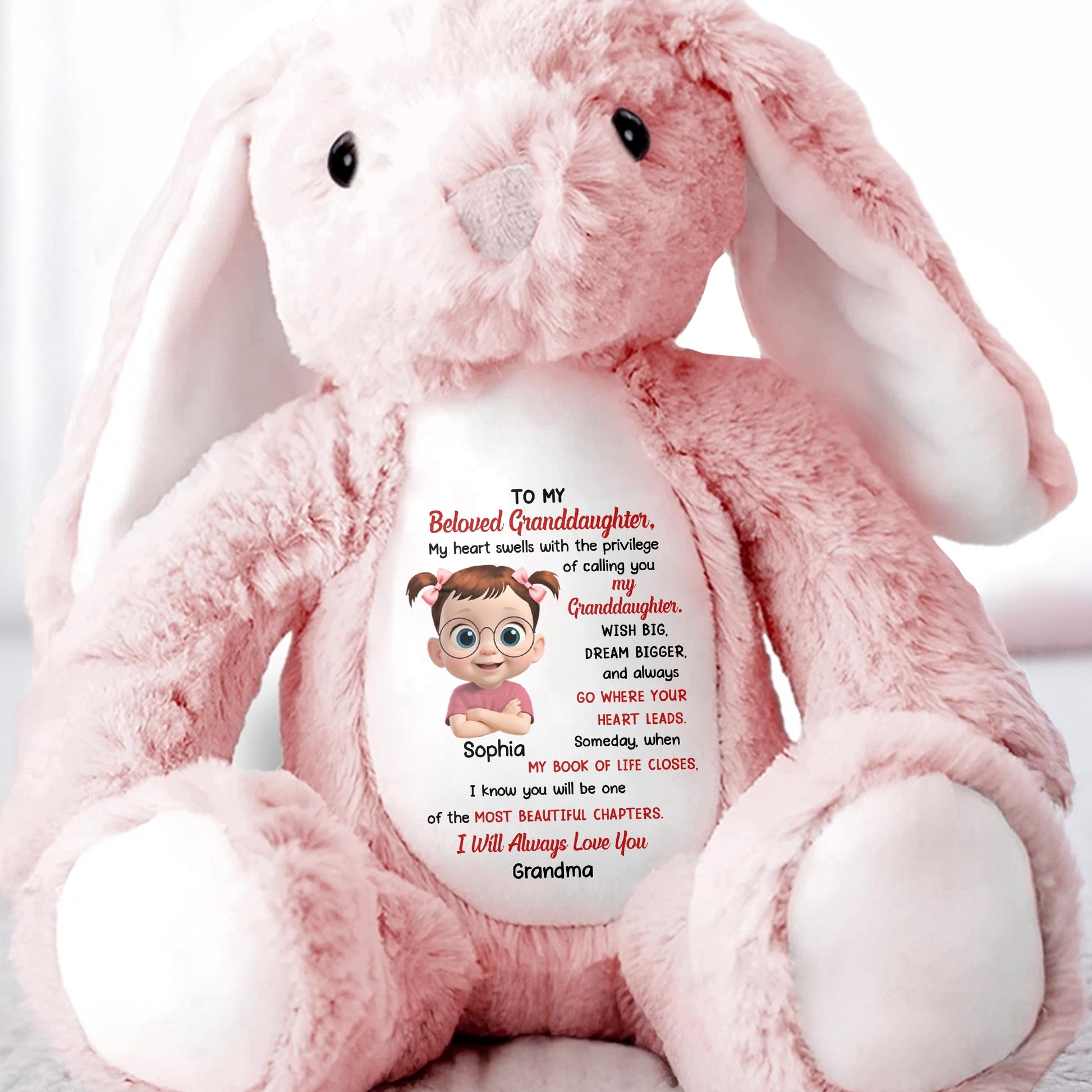 To My Beloved Granddaughter, Wish Big, Dream Bigger, Stuffed Bunny