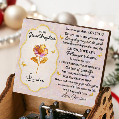 To My Granddaughter, Never Forget I Love You, Flowers and Butterflies