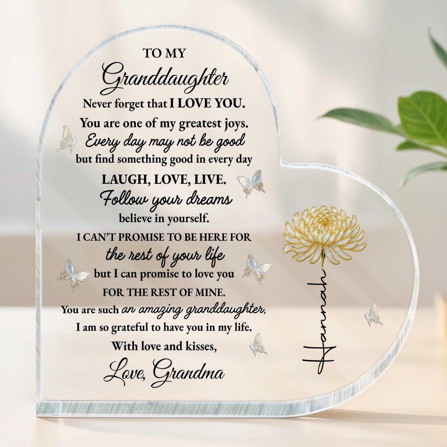 To My Granddaughter, Love And Butterflies