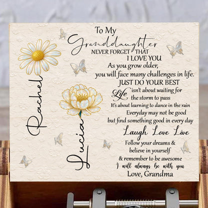 To My Granddaughter, Flowers And Butterflies
