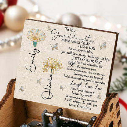 To My Granddaughter, Flowers And Butterflies