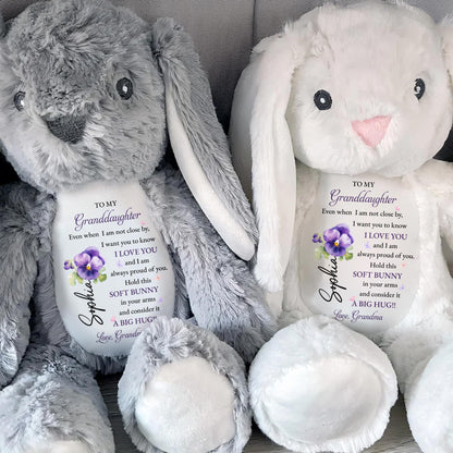 To My Granddaughter, Soft Bunny in Your Arms