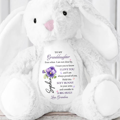 To My Granddaughter, Soft Bunny in Your Arms