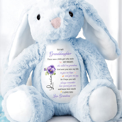 To My Granddaughter, Plush Bunny With Purple Flowers
