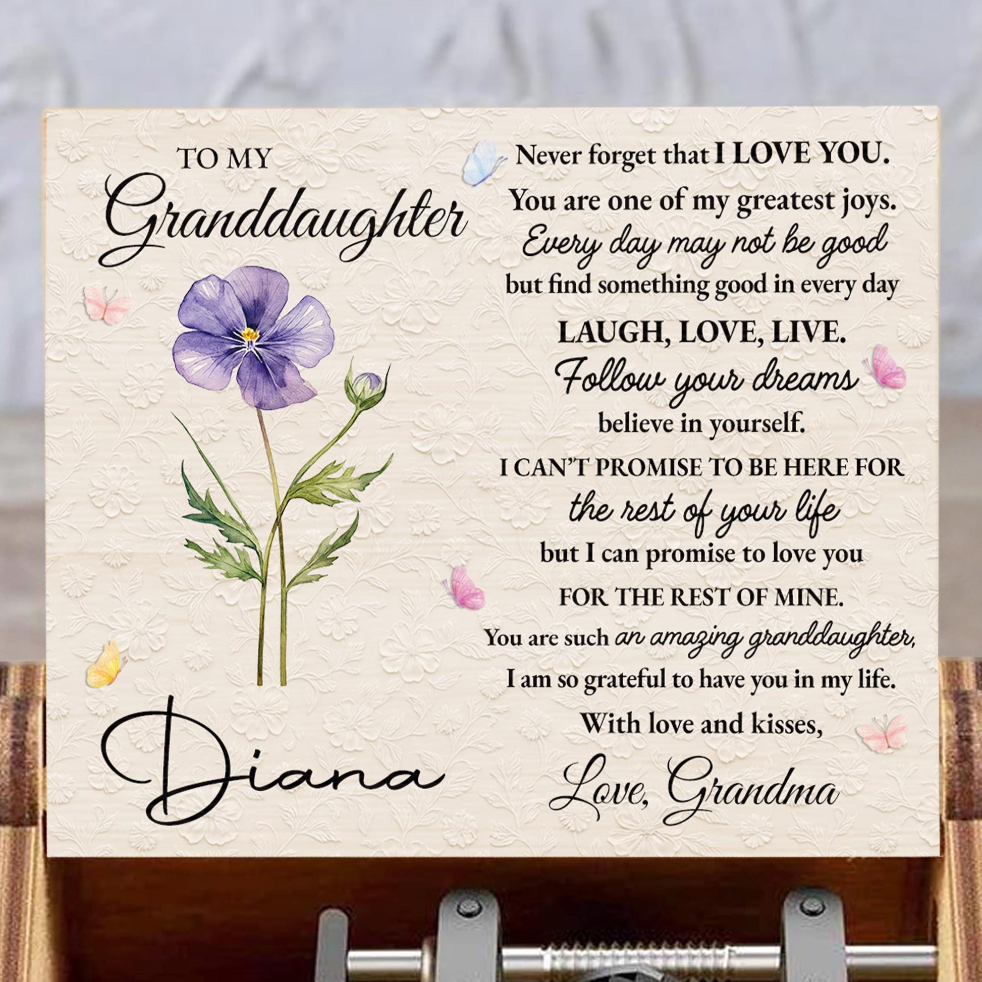 To My Granddaughter, Never Forget That I Love You