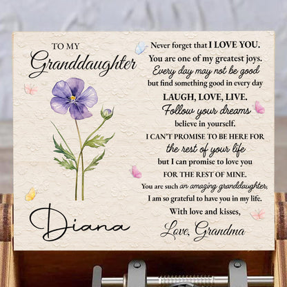 To My Granddaughter, Never Forget That I Love You