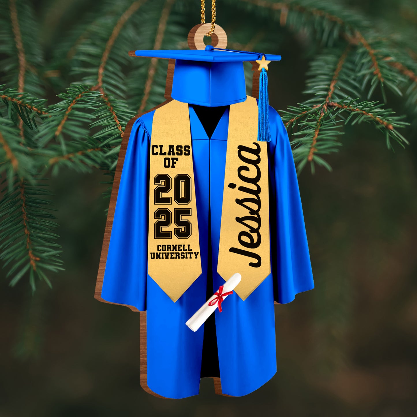 Class Of [Year], Graduation Robe And Cap