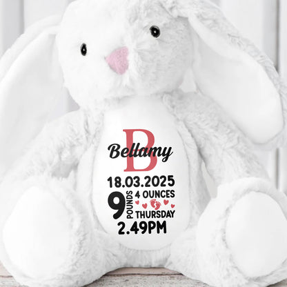 Bellamy 18.03.2025 9 Pounds 4 Ounces Thursday 2.49 PM, Stuffed Bunny