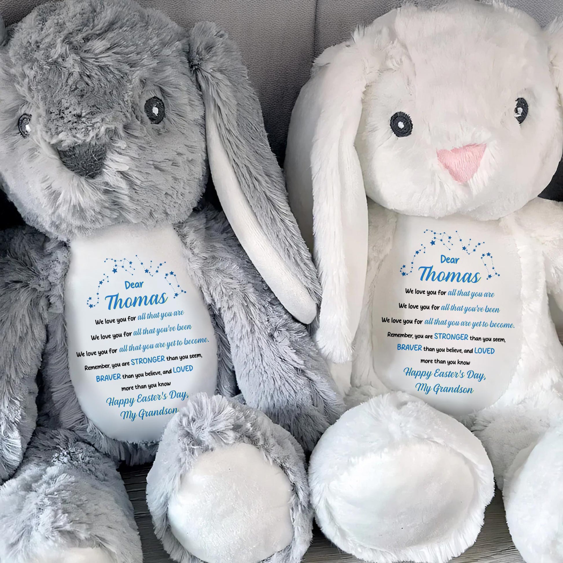 Dear Thomas, We Love You For All That You Are, Stuffed Bunny