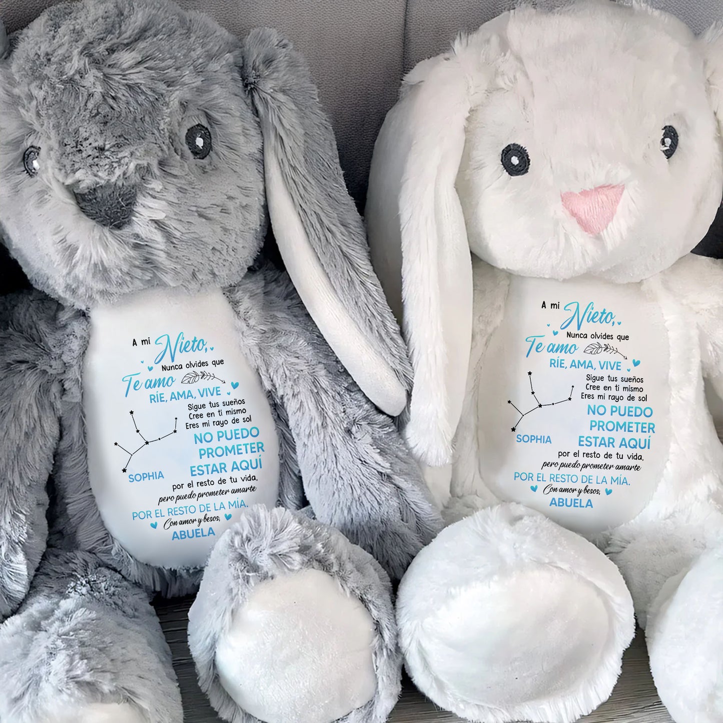 A Mi Nieto, Nunca Olvides Que Te Amo, Lapin en peluche - Lapin en peluche personnalisé - GSN043_BUN