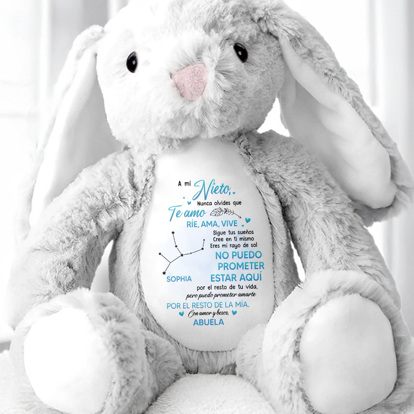 A Mi Nieto, Nunca Olvides Que Te Amo, Lapin en peluche - Lapin en peluche personnalisé - GSN043_BUN