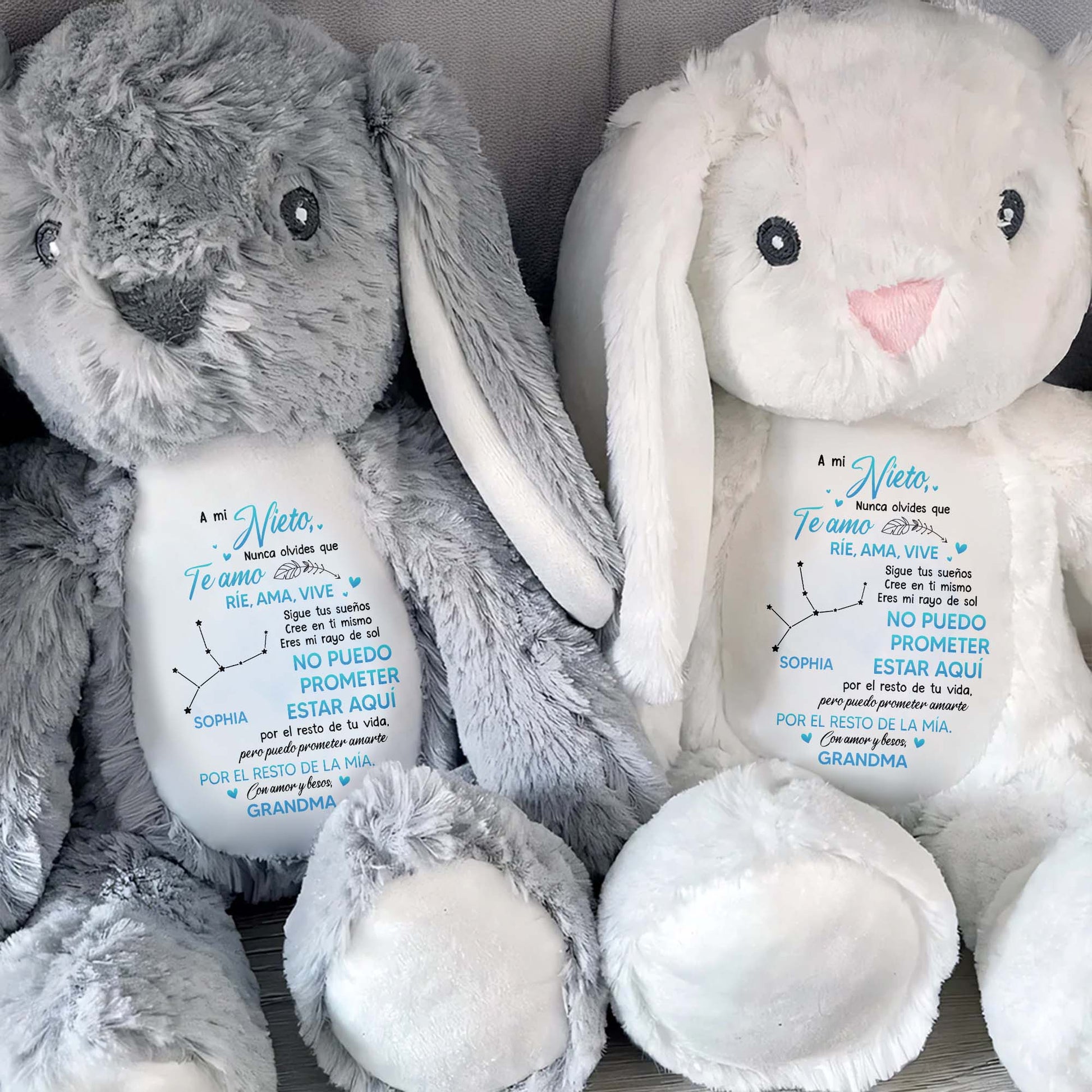 A Mi Nieto, Nunca Olvides Que Te Amo, Stuffed Bunny