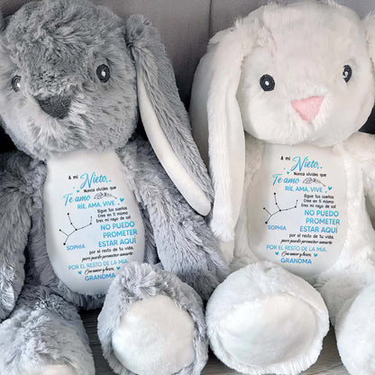 A Mi Nieto, Nunca Olvides Que Te Amo, Stuffed Bunny