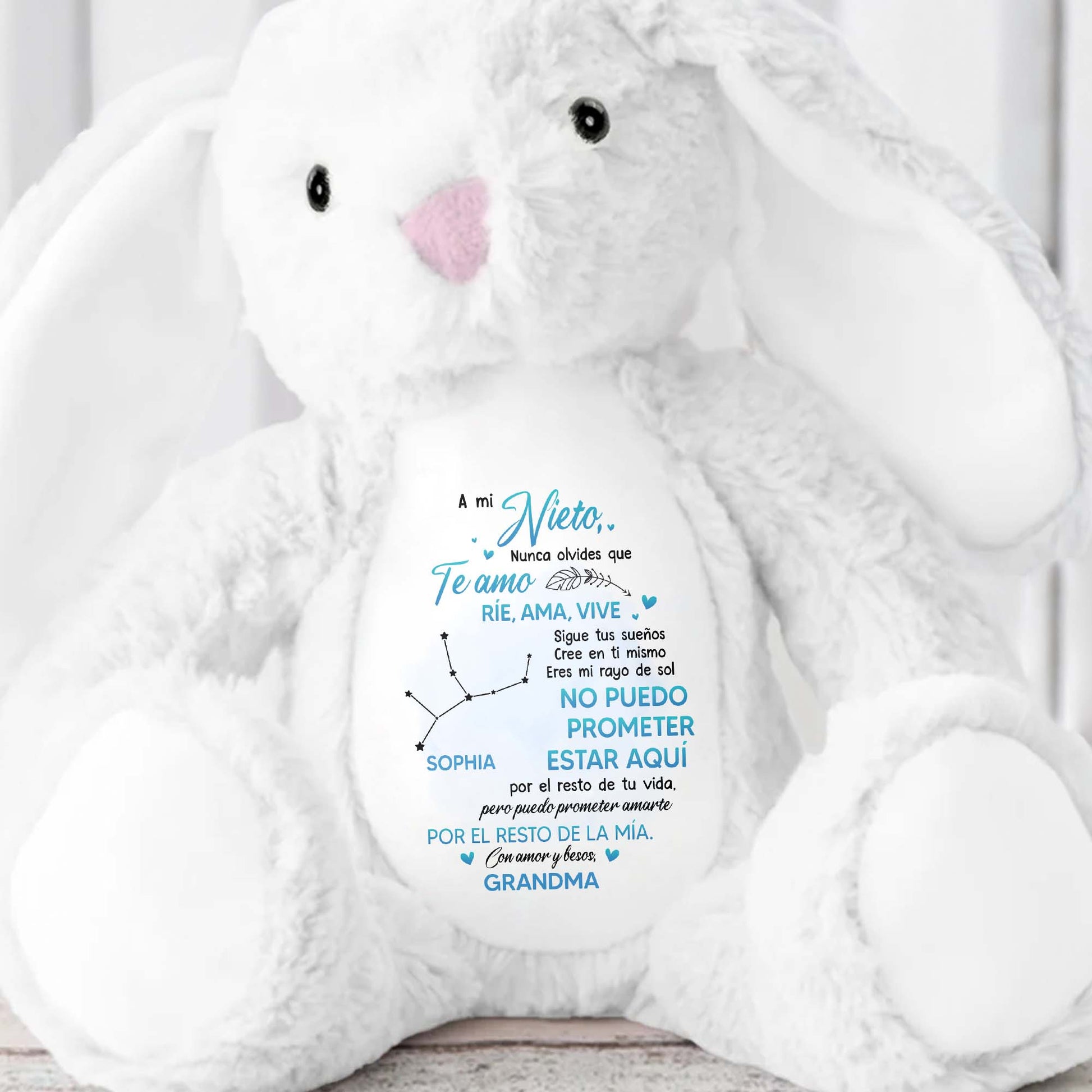 A Mi Nieto, Nunca Olvides Que Te Amo, Stuffed Bunny