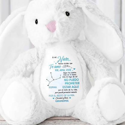 A Mi Nieto, Nunca Olvides Que Te Amo, Stuffed Bunny
