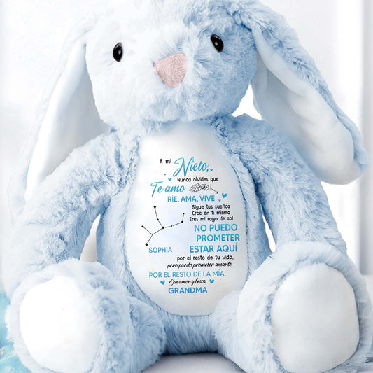 A Mi Nieto, Nunca Olvides Que Te Amo, Stuffed Bunny