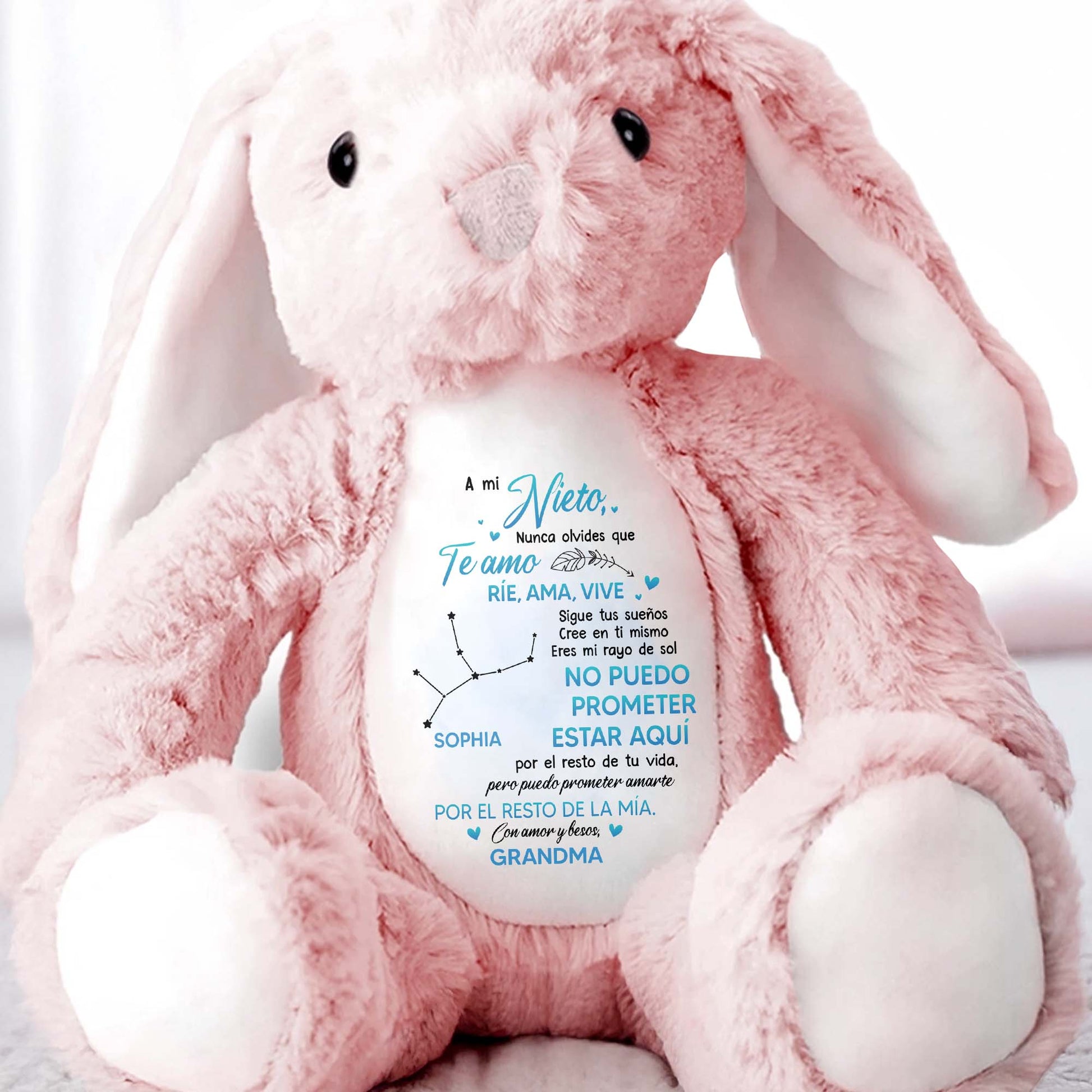 A Mi Nieto, Nunca Olvides Que Te Amo, Stuffed Bunny