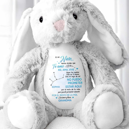 A Mi Nieto, Nunca Olvides Que Te Amo, Stuffed Bunny
