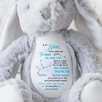 A Mi Nieto, Nunca Olvides Que Te Amo, Stuffed Bunny