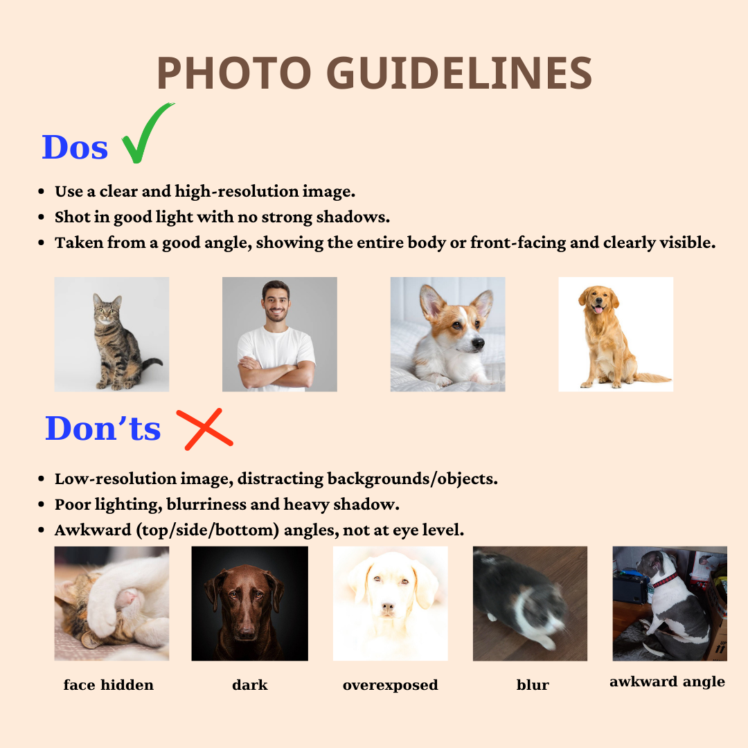 Showcase Your Love For Your Cat And Dog - Personalized Decor Decal - PET114_STIK