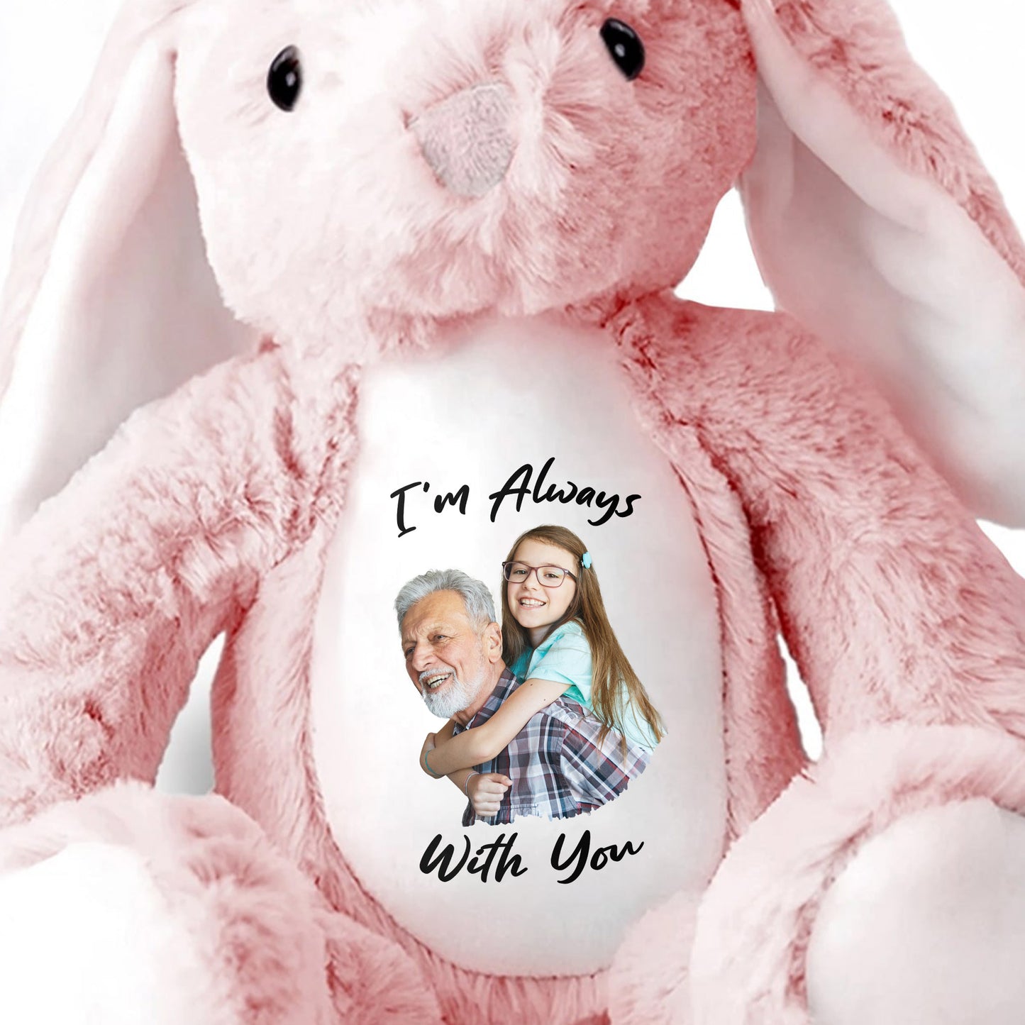 A Cuddle From Heaven, Stuffed Bunny