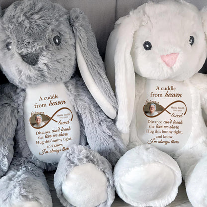 A Cuddle From Heaven, Distance Can't Break The Love We Share, Stuffed Bunny