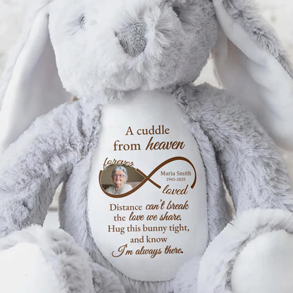 A Cuddle From Heaven, Distance Can't Break The Love We Share, Stuffed Bunny