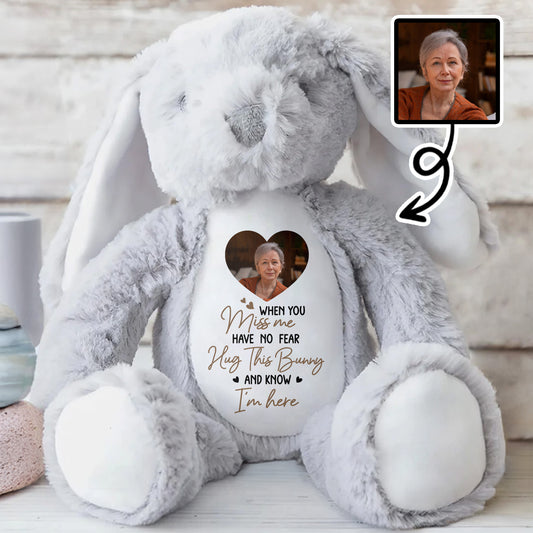 When You Miss Me, Hug This Bunny, Heart and Stuffed Bunny