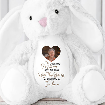 When You Miss Me, Hug This Bunny, Heart and Stuffed Bunny