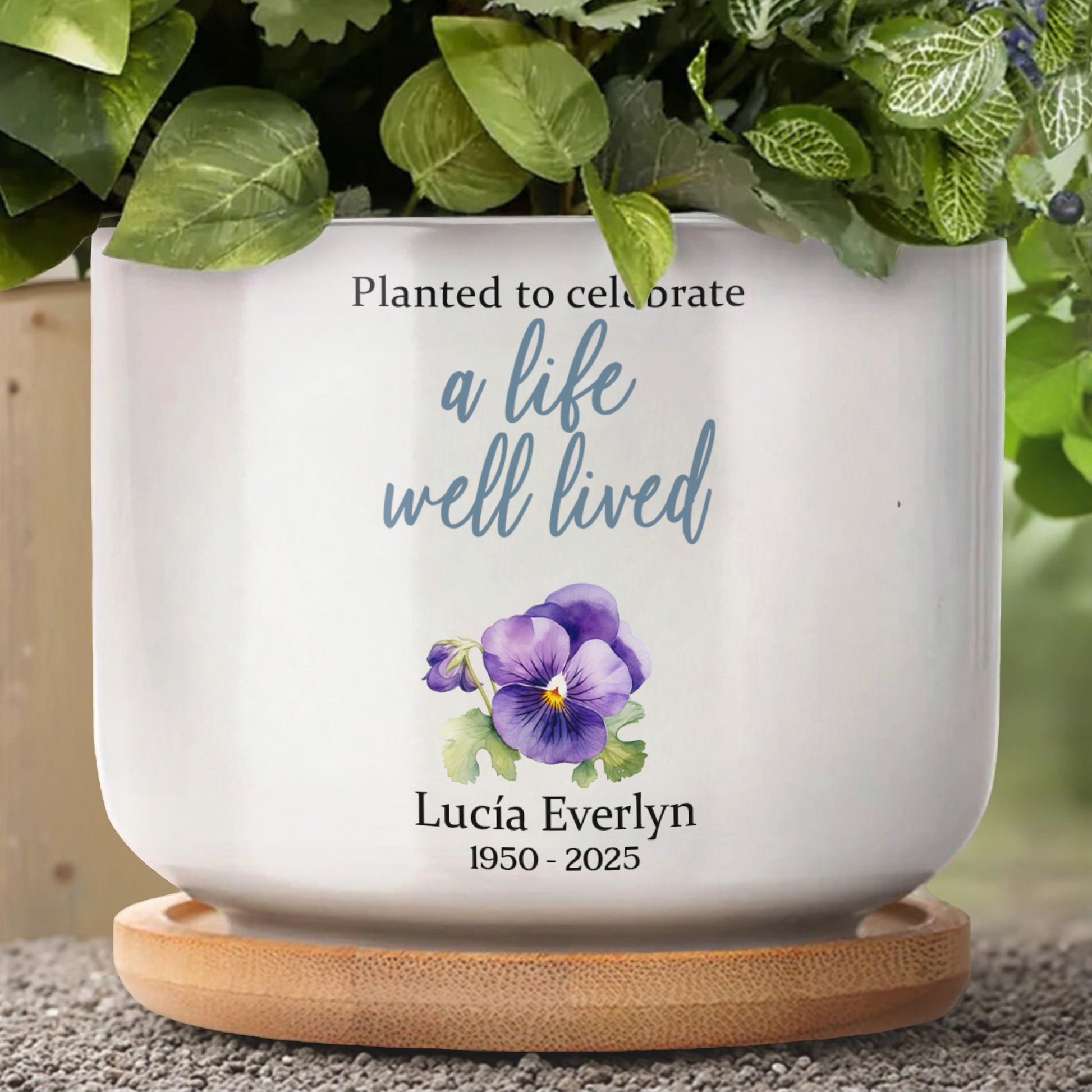 Planted To Celebrate A Life Well Lived, Pansy Flower