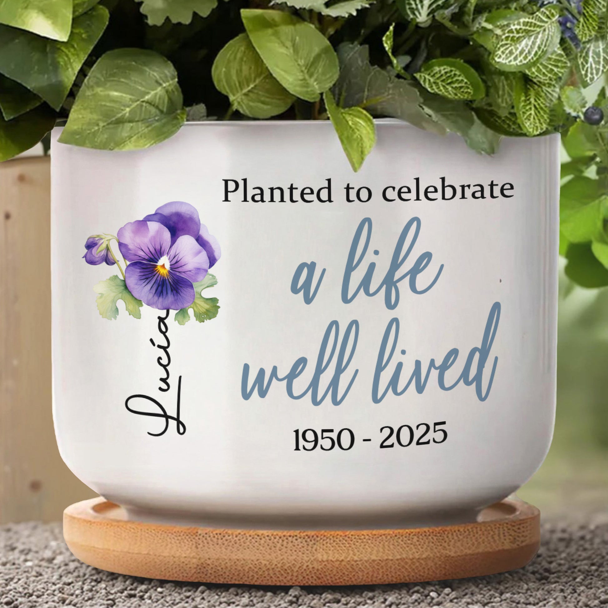 Planted To Celebrate A Life Well Lived, Pansy Flowers