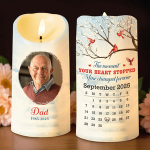The Moment Your Heart Stopped, Mine Changed Forever, Cardinals On Tree